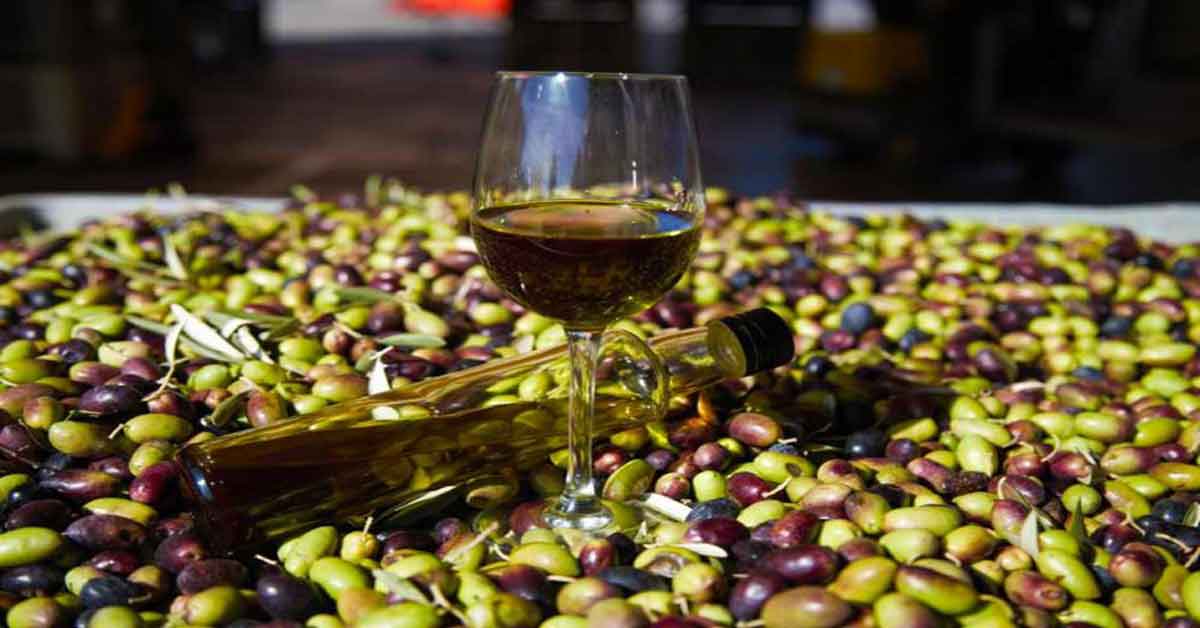 Come scegliere il miglior olio d’oliva? Guida all’acquisto