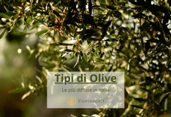 Tipi Di Olive, Ecco Le Famiglie Più Diffuse In Italia E Le Loro Caratteristiche