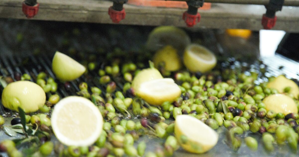 Zitronenöl mit Zitronen der Amalfiküste: Ein mediterraner Schatz zum Entdecken